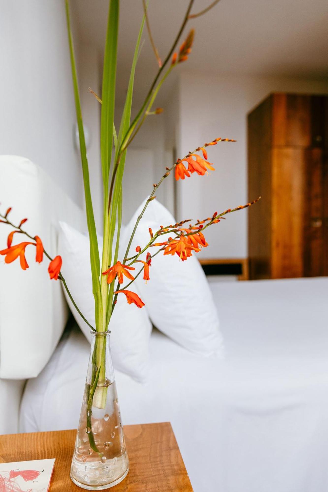 Hotel El Castano Dormilon Santa Marta de Ortigueira Bagian luar foto